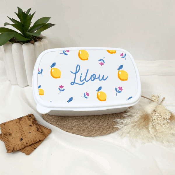 lunchbox sortie scolaire, goûter centre aéré, boîte à repas voyage, pique nique